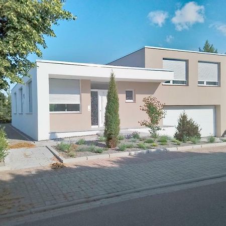 Zimmer In Zoschen Exterior photo